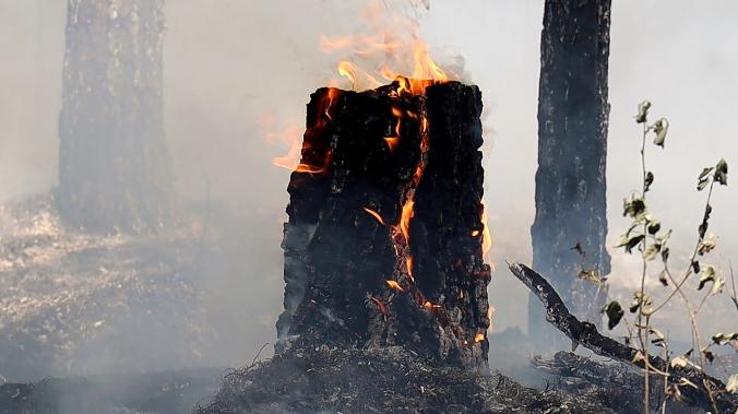В Якутии сгорели сотни гектаров леса