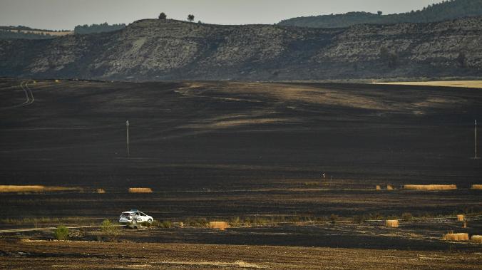 В ЕС установили абсолютный рекорд сгоревшего леса за всю историю наблюдений