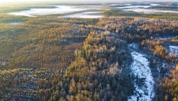 В Запорожской области создан нацпарк «Великий Луг» 