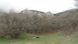  В Севастополе и Крыму начался пожароопасный сезон