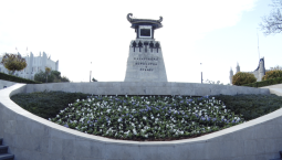 Символ славы: на Матросском бульваре «расцвёл» Андреевский флаг