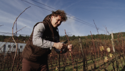 Молодые агрономы Севастополя получат господдержку