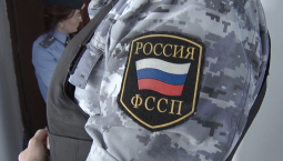 1 ноября в России отмечают День судебного пристава