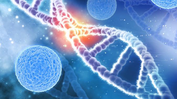Big Think: в ДНК современного человека нашли активные древние вирусы