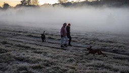 Ученые: четырем регионам мира грозит экологическая катастрофа