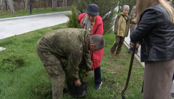 Ветеран Великой Отечественной войны высадила дерево на «Сапун-горе»