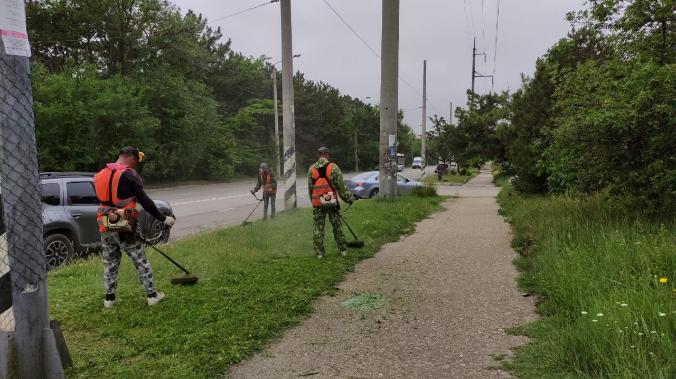 В Симферополе провели санитарно-формовочную обрезку деревьев и кустарников на 15 улицах