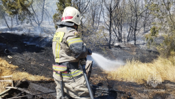 Пожар в районе посёлка Сахарная головка локализован