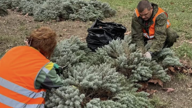 В Севастополе приводят в порядок растения в парках и скверах