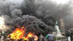 Аграрный бунт в Брюсселе: фермеры против политики ЕС