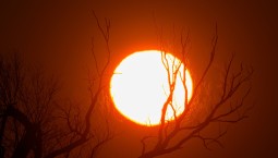 Рекорд по магнитным бурям с 2017 года побит в январе