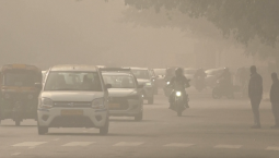 Густой токсичный смог окутал столицу Индии