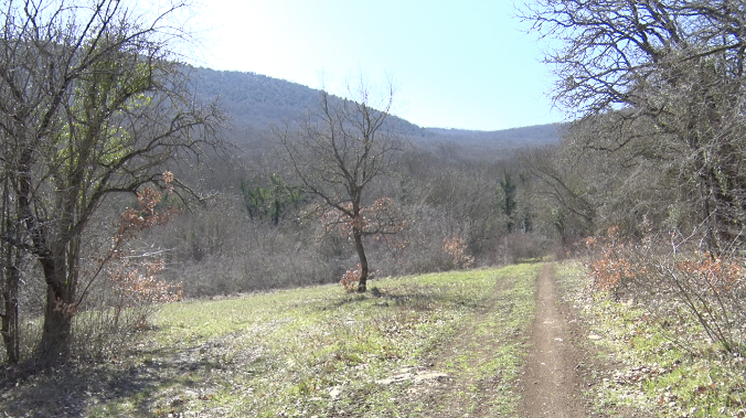 С 1 апреля в Севастополе – пожароопасный сезон