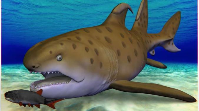 Ископаемую акулу-Годзиллу официально выделили в отдельный вид