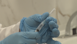 Клещевой энцефалит: в Севастополе идёт вакцинация