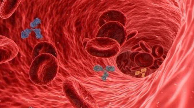 Ученые впервые обнаружили микропластик в крови человека