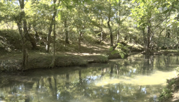 Русло реки Чёрная расчистили от мусора и отложений