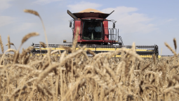 Льготный лизинг для бизнеса новых регионов продлён