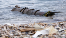 В Севастополе со дна бухты подняли пушку XIX века