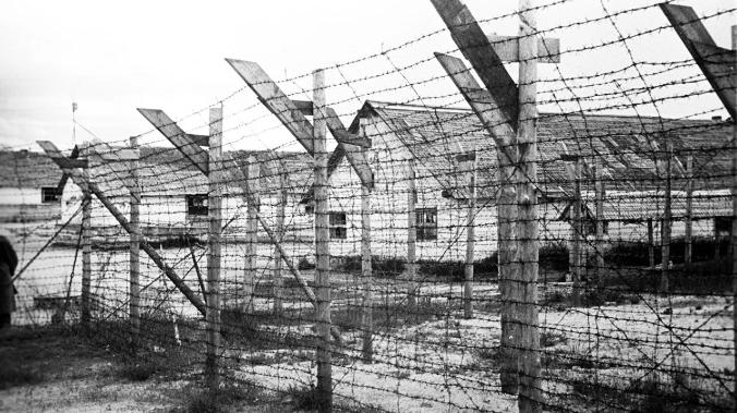 В Карелии обнаружили место массового захоронения узников финских концлагерей