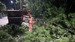 В Ялте ликвидируют последствия ночной бури