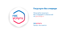 На «Госуслугах» можно пожаловаться на коллекторов