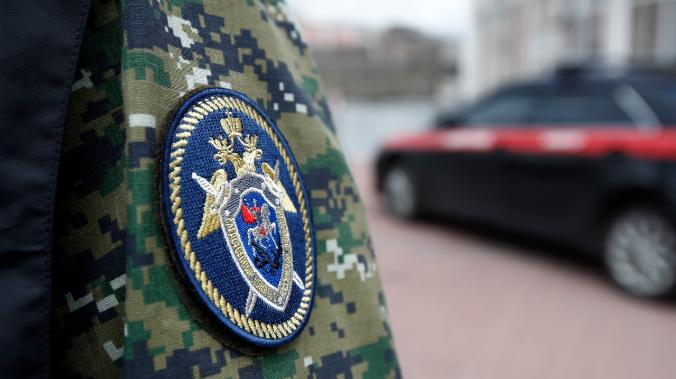 Дело о нападении собак на ребенка в Севастополе – на контроле Следкома