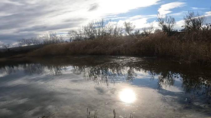  ИНБЮМ оценивает загрязнение рек в Севастополе