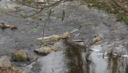 Уровень воды в реках Севастополя не опасен