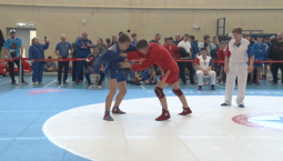 Самбисты из 10 регионов сразились в Севастополе за звания лучших 