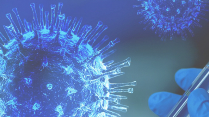 Влияние коронавируса проверили на искусственных легких