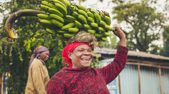 Бананоподобное растение Энсета спасет людей от голода в случае катастрофы