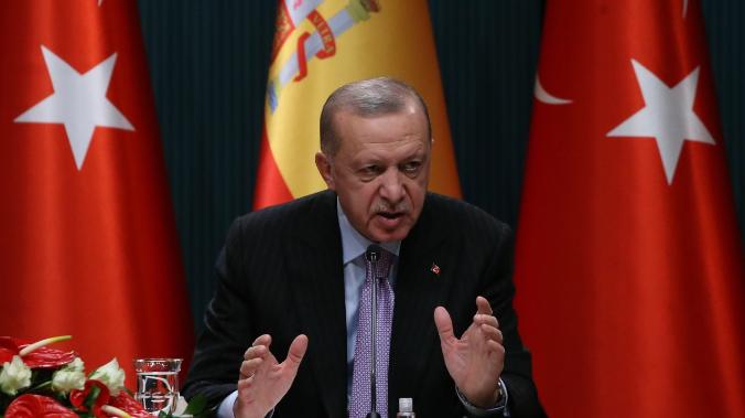 Волнения в Турции вынудили Эрдогана свернуть наступление в Сирии 