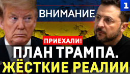 План Трампа. Жёсткие реалии
