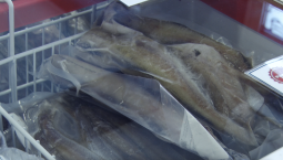 В Севастополе подешевели мороженая рыба и мясо