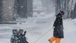 Нуждаемость в едином пособии оценивают по-новому 