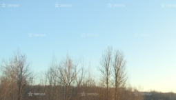 Под Петербургом нашли тело пропавшего мальчика 