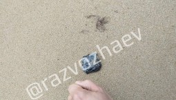 На пляжах Северной стороны обнаружены пятна мазута
