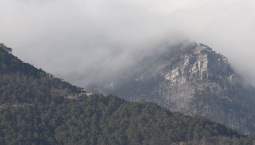 16 и 17 апреля в Крыму сохраняются заморозки