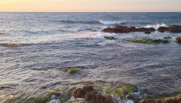 16 дронов ВСУ сбиты на подлёте к Севастополю за ночь 