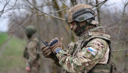 Семь сёл освобождено за неделю в зоне СВО