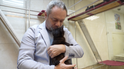 Театр кошек Куклачёва принял питомцев из зоны СВО