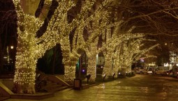 Центральные улицы Севастополя сияют «морем» новогодних огней