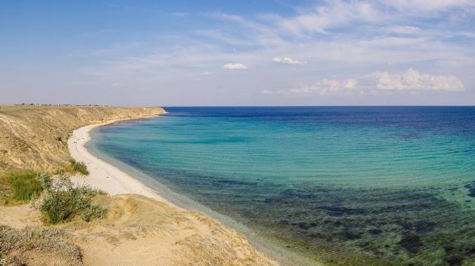 Туристы сравнили Черное море с болотом из-за гниющих водорослей