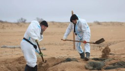 300 человек очищали берег от мусора на Кубани