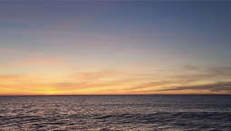 Силы ПВО и Черноморского флота отразили две атаки ВСУ на Севастополь 