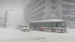 В Японии из-за снегопадов погибли 28 человек