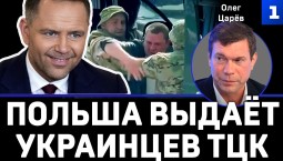 Царёв: Польша выдаёт украинцев ТЦК
