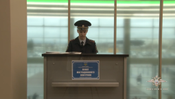 Пункты миграционного контроля открыли в аэропортах России