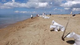 Более 1000 мешков грунта с мазутом собрали на Кубани